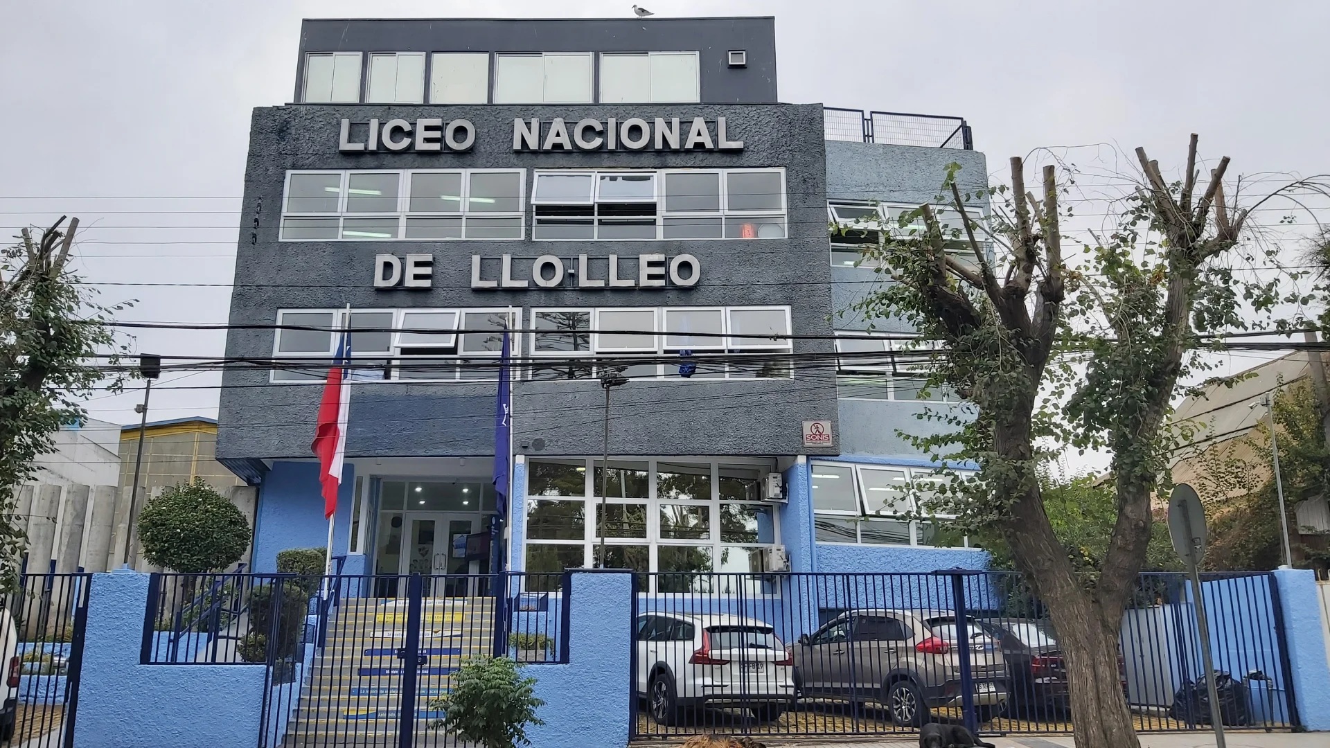 Liceo LLolleo